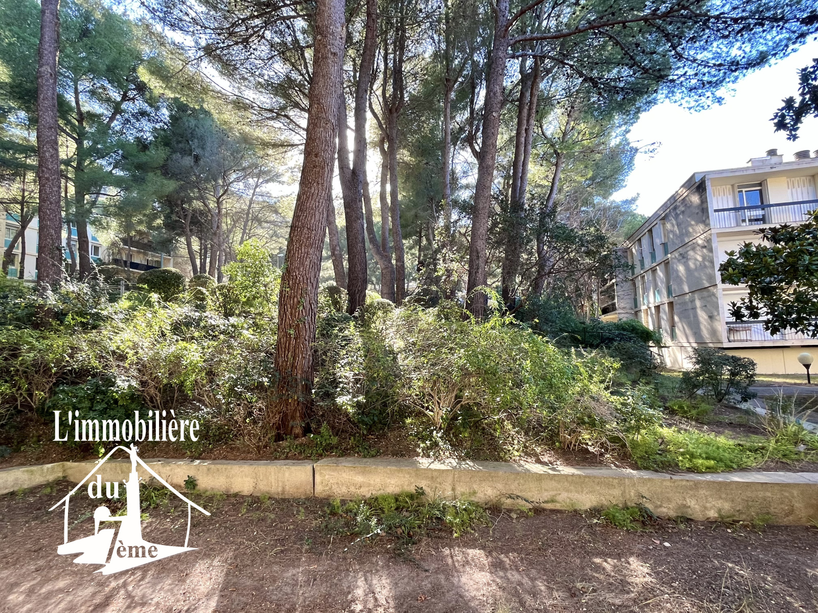 Image_, Appartement, Marseille, ref :1068